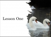 Winter Swans Teaching Resources (slide 2/52)